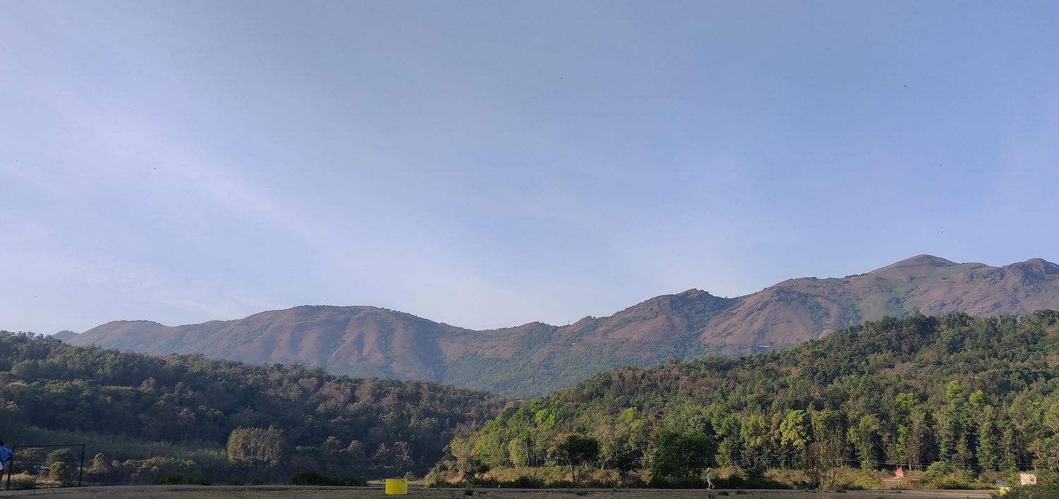 Hill range on the skyline above forest, Chikkamagaluru district