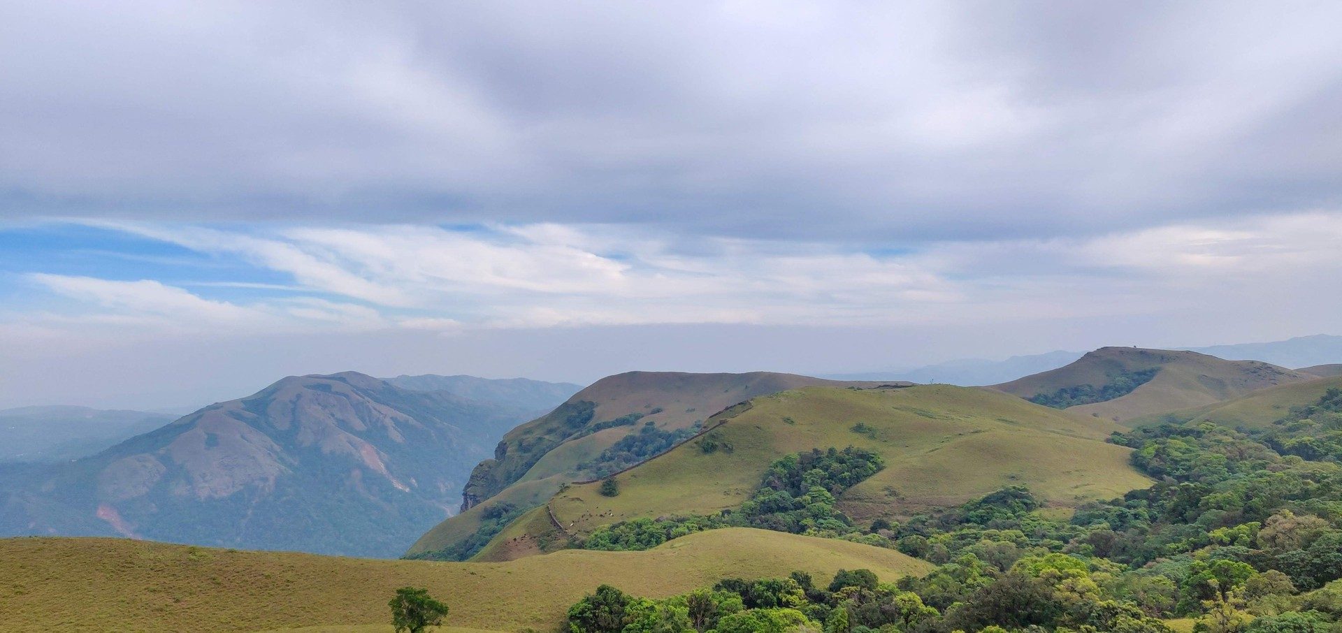 Who Can Buy Agricultural Land in Karnataka